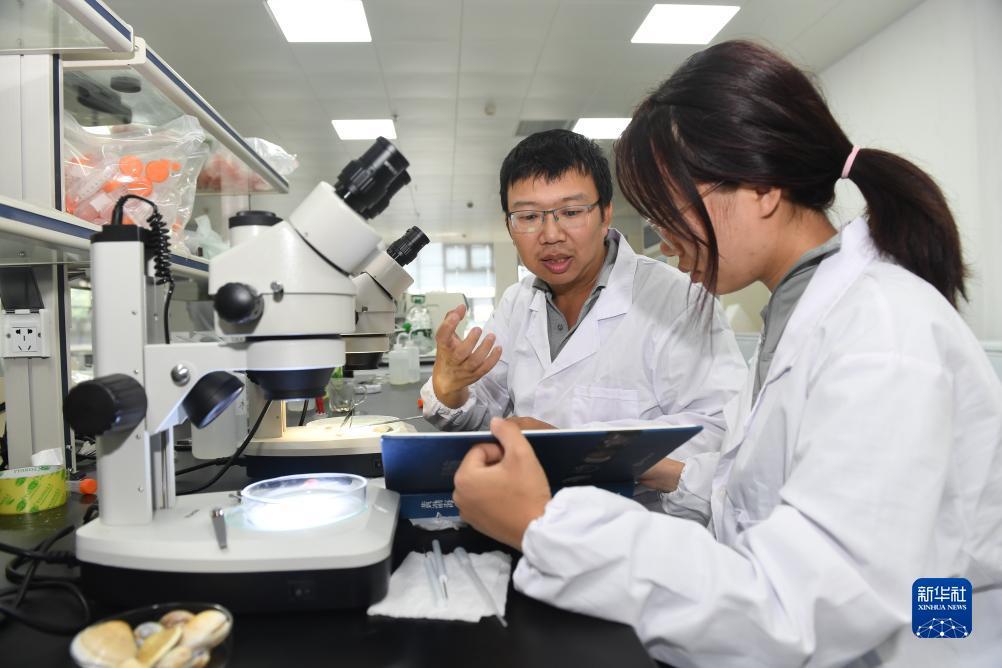 什么软件注册送钱